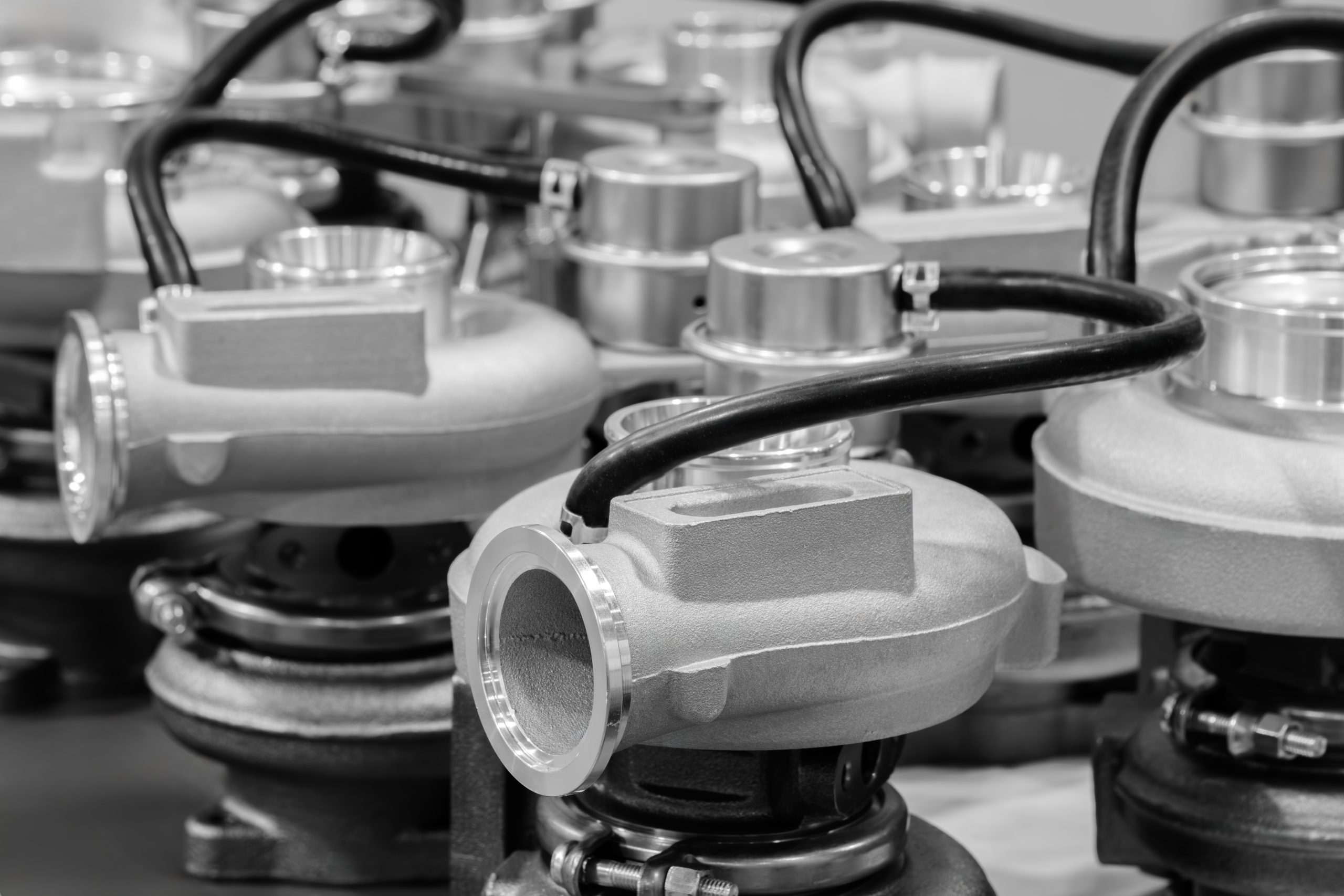 shutterstock 2646579747 scaled 1